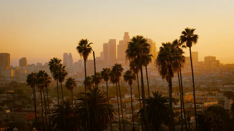 Los Angeles skyline behind palm trees at sunset
