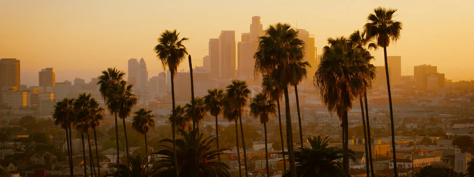 Los Angeles skyline behind palm trees at sunset
