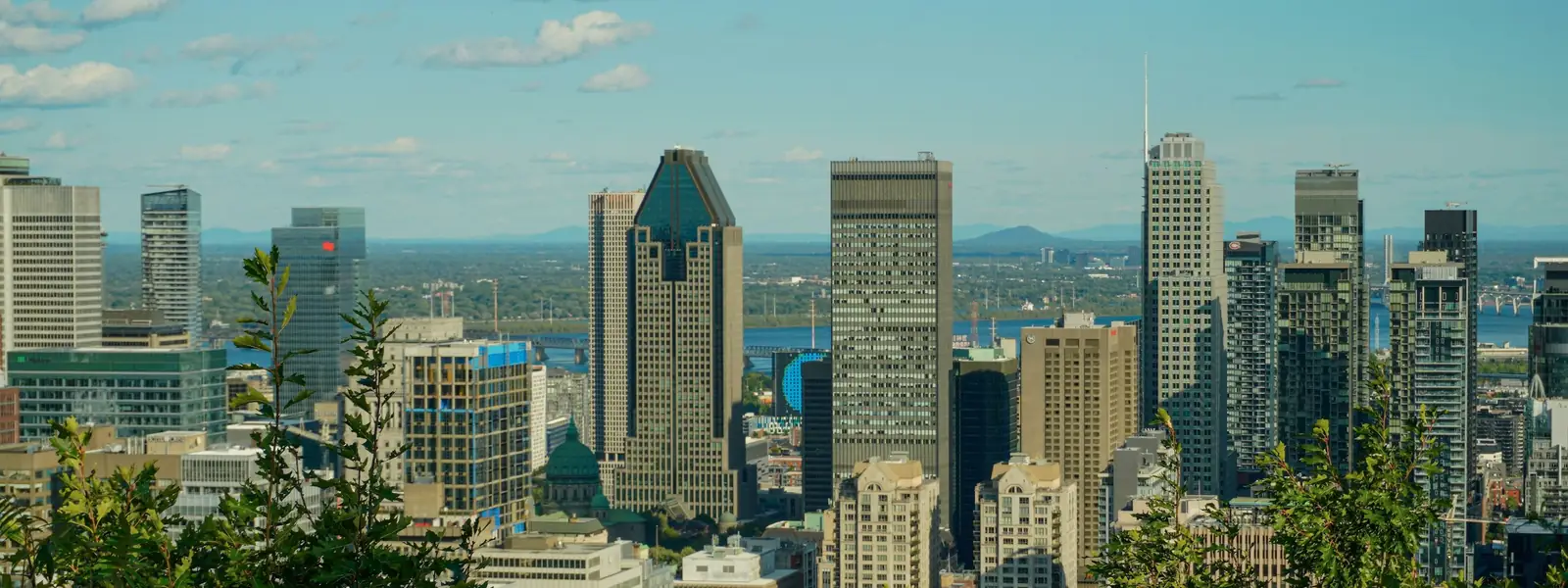 Downtown Montreal seen from Mount Royal