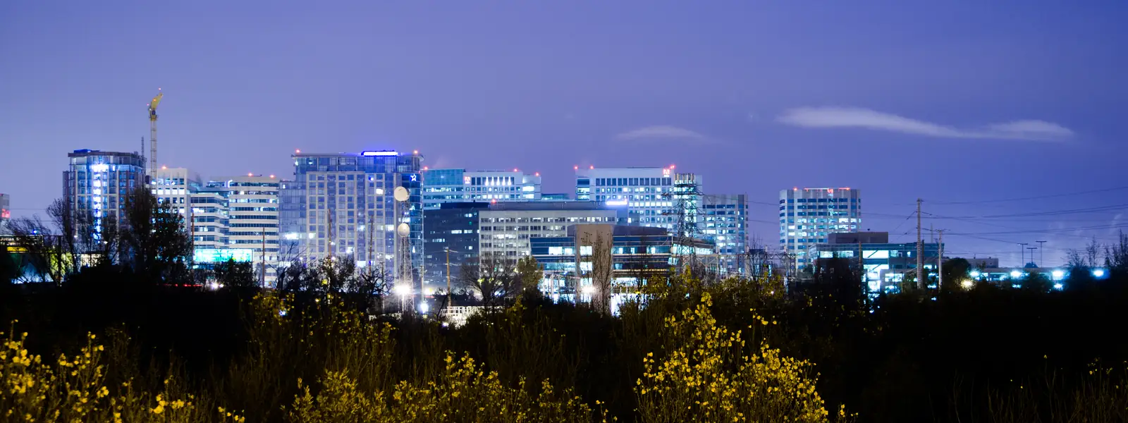 Downtown San Jose skyline at night