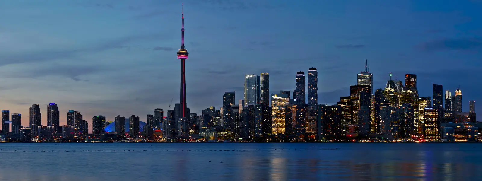Toronto skyline and the CN Tower at night